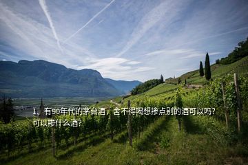 1、有90年代的茅臺酒，舍不得喝想摻點別的酒可以嗎？可以摻什么酒？