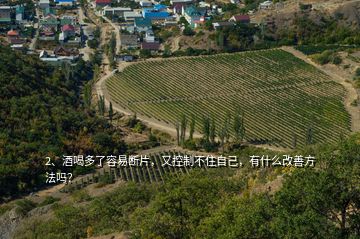 2、酒喝多了容易斷片，又控制不住自己，有什么改善方法嗎？