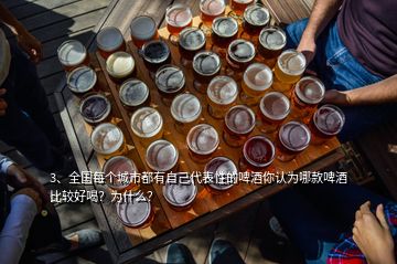 3、全國每個城市都有自己代表性的啤酒你認(rèn)為哪款啤酒比較好喝？為什么？