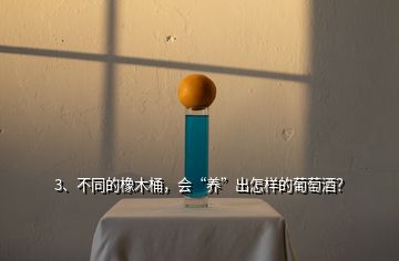 3、不同的橡木桶，會“養(yǎng)”出怎樣的葡萄酒？