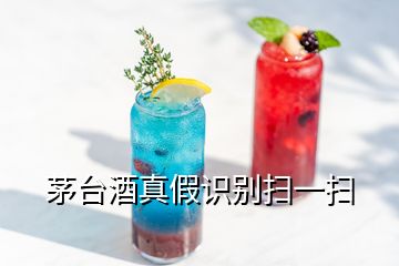 茅臺酒真假識別掃一掃