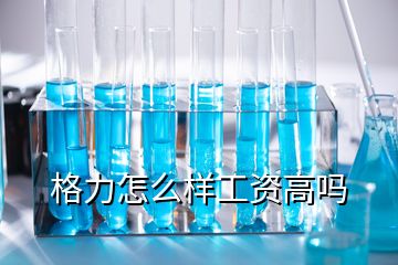 格力怎么樣工資高嗎