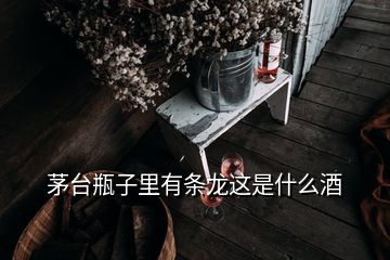 茅臺(tái)瓶子里有條龍這是什么酒