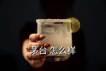 茅臺 怎么樣