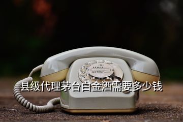 縣級代理茅臺白金酒需要多少錢