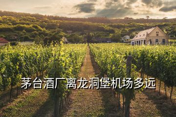 茅臺酒廠離龍洞堡機場多遠