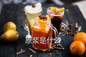 原漿是什么