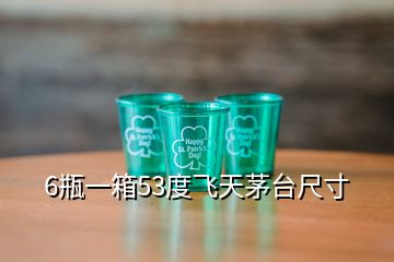 6瓶一箱53度飛天茅臺(tái)尺寸