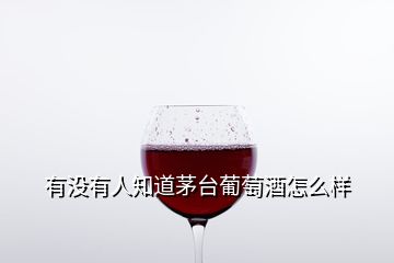 有沒(méi)有人知道茅臺(tái)葡萄酒怎么樣