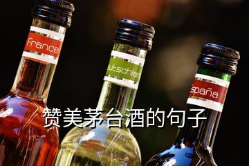 贊美茅臺酒的句子