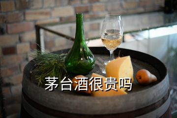 茅臺酒很貴嗎