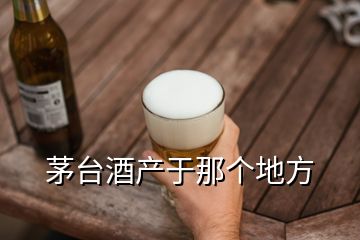 茅臺酒產(chǎn)于那個地方