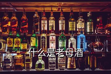 什么是老母酒