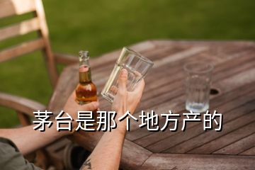 茅臺是那個地方產(chǎn)的