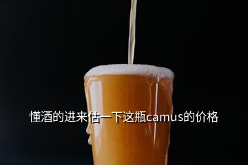 懂酒的進(jìn)來(lái)估一下這瓶camus的價(jià)格