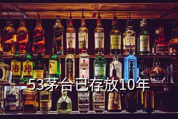 53茅臺已存放10年