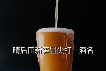 晴后田新筍冒尖打一酒名