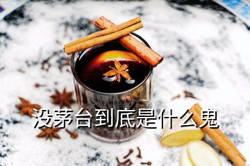 沒茅臺(tái)到底是什么鬼