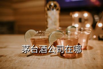 茅臺酒公司在哪