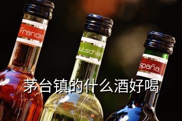 茅臺鎮(zhèn)的什么酒好喝