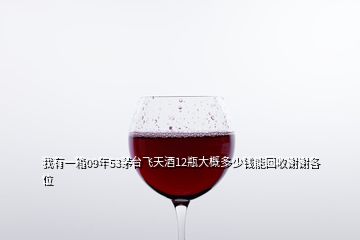 我有一箱09年53茅臺飛天酒12瓶大概多少錢能回收謝謝各位