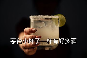 茅臺(tái)小杯子一杯有好多酒