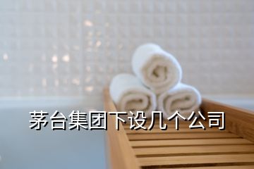 茅臺集團(tuán)下設(shè)幾個公司