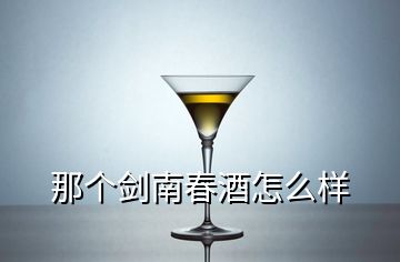 那個劍南春酒怎么樣