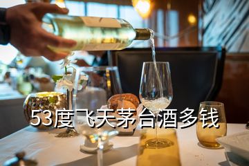 53度飛天茅臺酒多錢