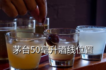 茅臺50毫升酒線位置