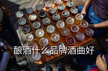 釀酒什么品牌酒曲好