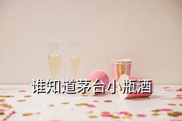 誰(shuí)知道茅臺(tái)小瓶酒