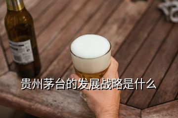 貴州茅臺的發(fā)展戰(zhàn)略是什么