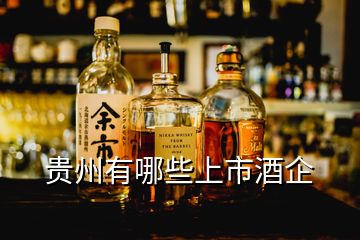 貴州有哪些上市酒企