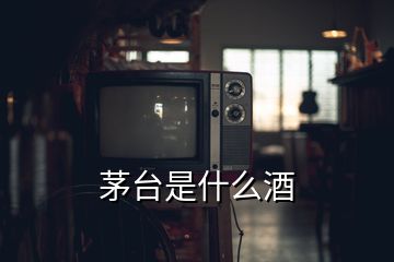 茅臺(tái)是什么酒