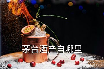 茅臺(tái)酒產(chǎn)自哪里