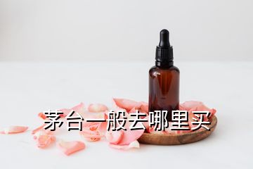 茅臺(tái)一般去哪里買(mǎi)