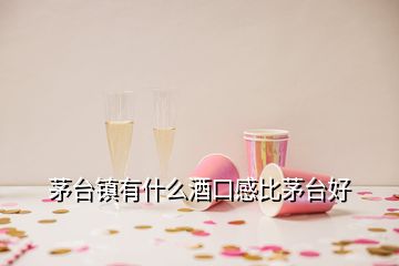 茅臺鎮(zhèn)有什么酒口感比茅臺好