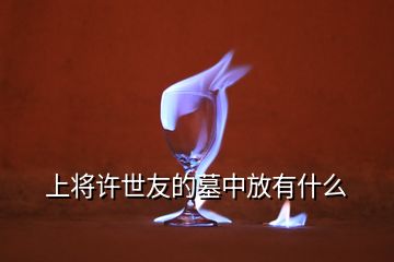 上將許世友的墓中放有什么