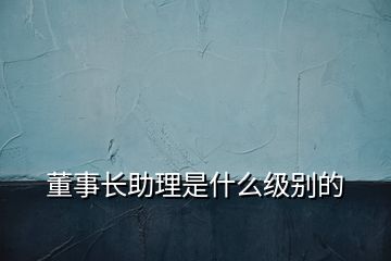 董事長助理是什么級別的