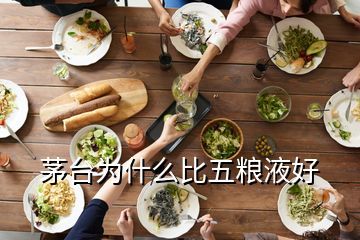 茅臺(tái)為什么比五糧液好