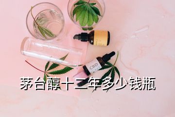 茅臺(tái)醇十二年多少錢瓶