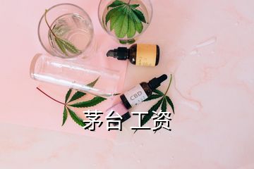 茅臺(tái) 工資