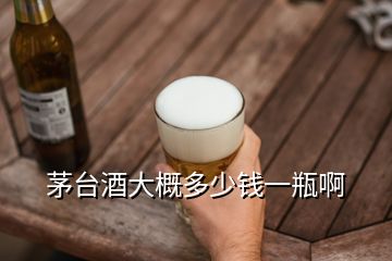 茅臺(tái)酒大概多少錢(qián)一瓶啊