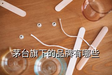 茅臺(tái)旗下的品牌有哪些