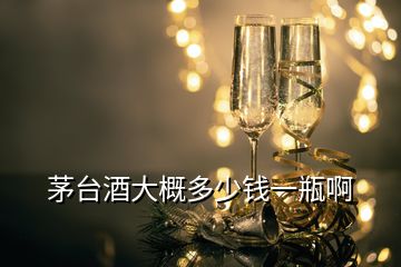 茅臺酒大概多少錢一瓶啊