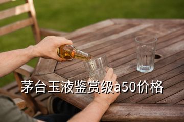 茅臺玉液鑒賞級a50價格