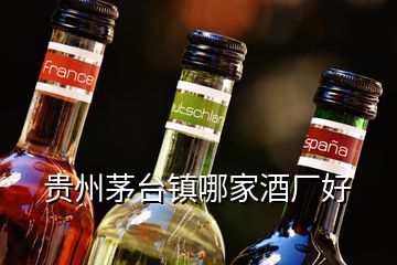 貴州茅臺(tái)鎮(zhèn)哪家酒廠好