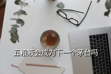 五糧液會(huì)成為下一個(gè)茅臺嗎