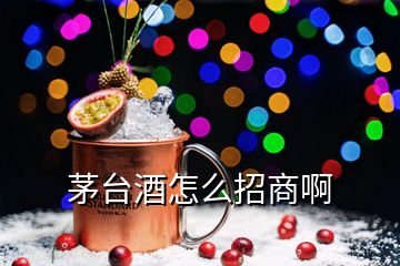 茅臺酒怎么招商啊